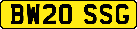 BW20SSG