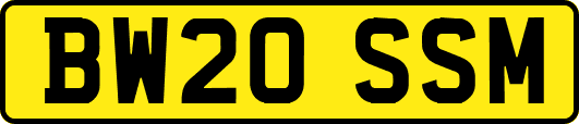BW20SSM