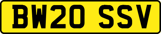 BW20SSV