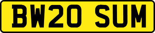 BW20SUM