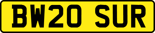 BW20SUR