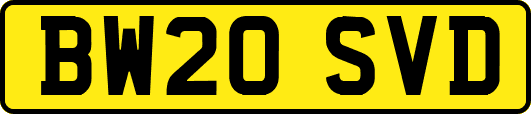 BW20SVD