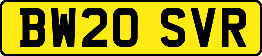 BW20SVR