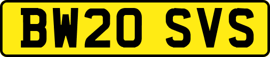 BW20SVS