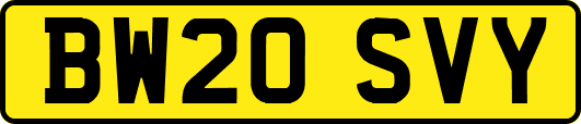 BW20SVY
