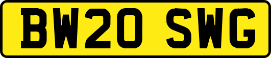 BW20SWG