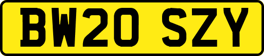BW20SZY