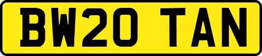 BW20TAN