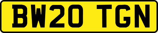 BW20TGN