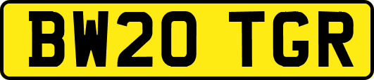 BW20TGR