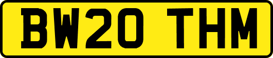 BW20THM