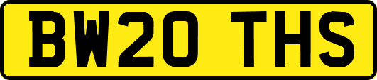 BW20THS