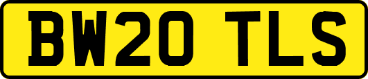 BW20TLS