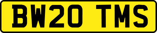 BW20TMS