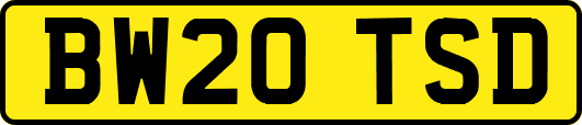 BW20TSD