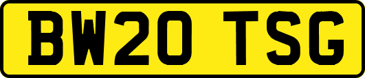 BW20TSG