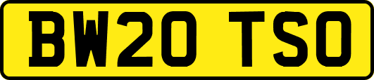 BW20TSO