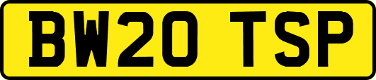 BW20TSP