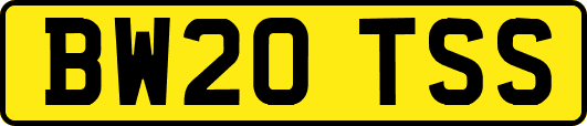 BW20TSS