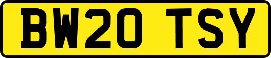 BW20TSY