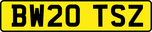 BW20TSZ
