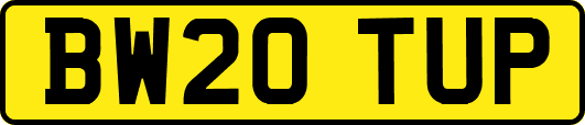 BW20TUP