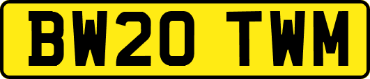 BW20TWM