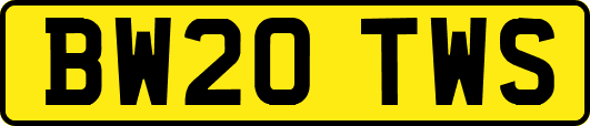 BW20TWS