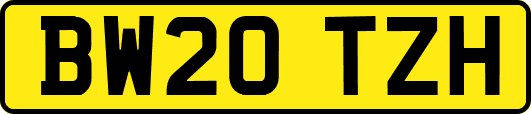 BW20TZH