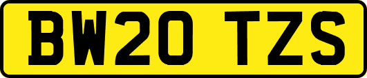 BW20TZS