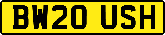BW20USH