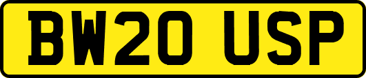 BW20USP