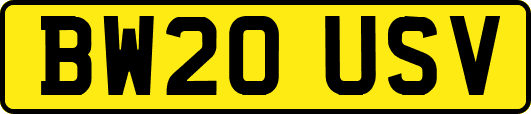 BW20USV