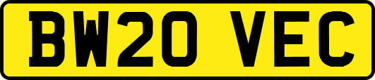 BW20VEC