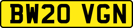 BW20VGN