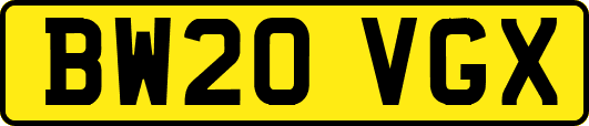 BW20VGX