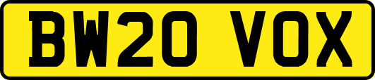 BW20VOX