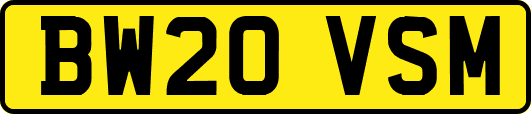 BW20VSM
