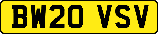 BW20VSV