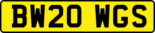 BW20WGS