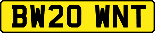 BW20WNT