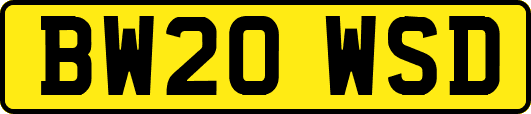BW20WSD