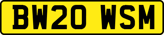 BW20WSM