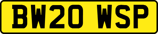 BW20WSP