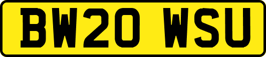 BW20WSU