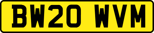 BW20WVM