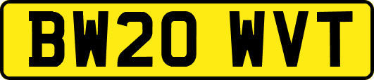 BW20WVT