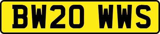 BW20WWS