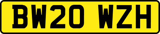BW20WZH