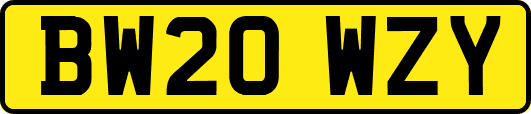 BW20WZY